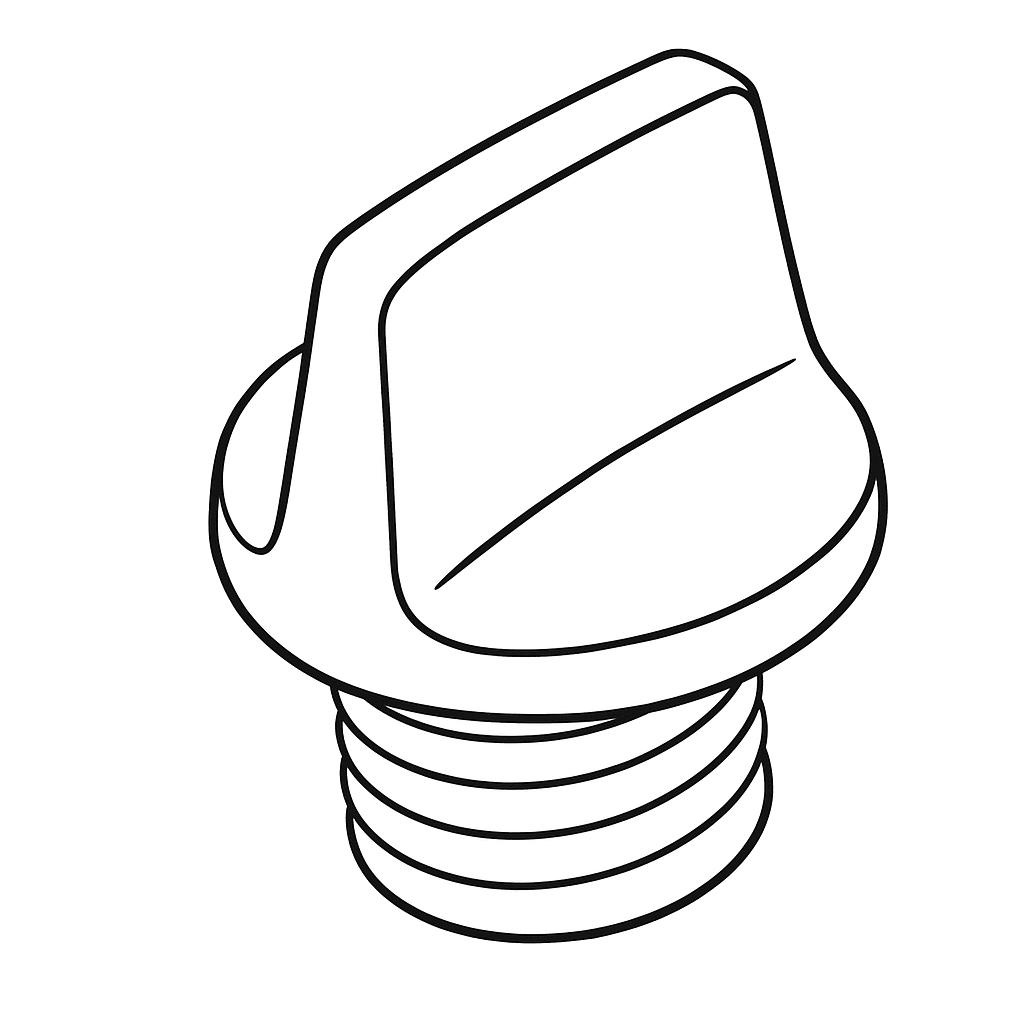 Bouchon de remplissage d'huile